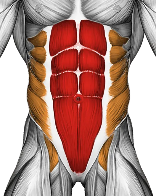 Lying Ab Press — Muscles worked: Core, Obliques