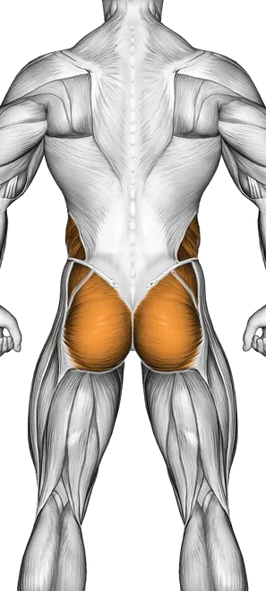 Front Plank — Muscles worked: Core, Front delts, Obliques, Glutes, Abductors, Quadriceps (Back)