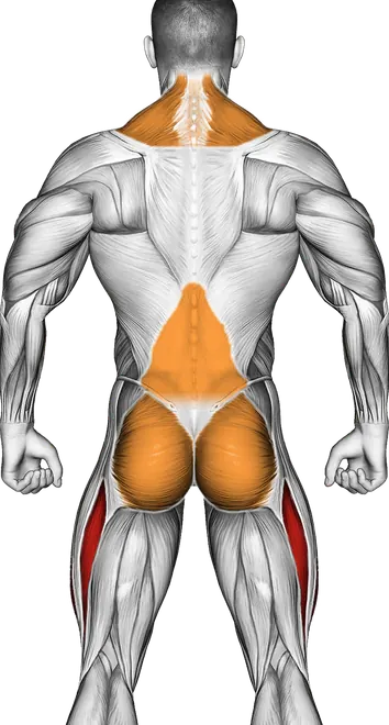 Power Sled Push — Muscles worked: Quadriceps, Traps, Lower back, Glutes (Back)