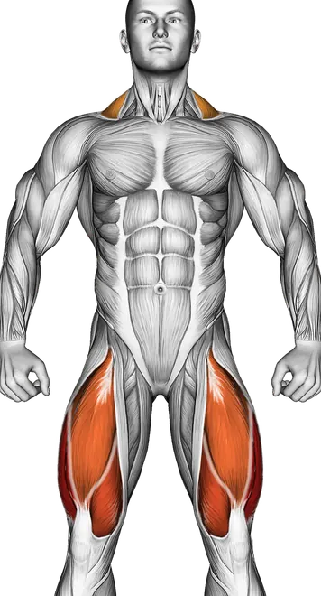 Power Sled Push — Muscles worked: Quadriceps, Traps, Lower back, Glutes (Front)