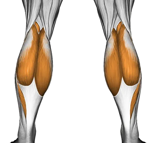 Ankle Circles — Muscles worked: Tibialis, Calves (Back)