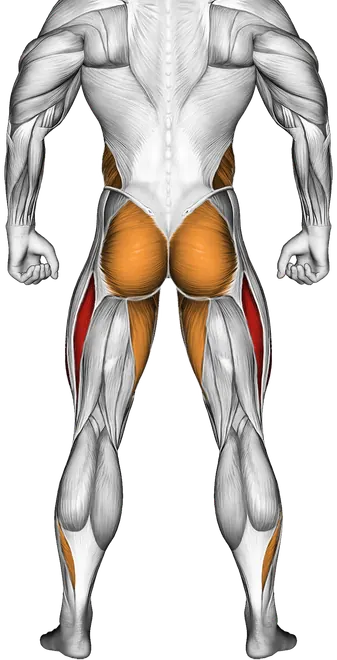 Crossover Kneeling Hip Flexor Stretch — Muscles worked: Quadriceps, Core, Obliques, Glutes, Adductors, Calves (Back)