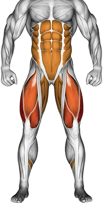 Crossover Kneeling Hip Flexor Stretch — Muscles worked: Quadriceps, Core, Obliques, Glutes, Adductors, Calves (Front)