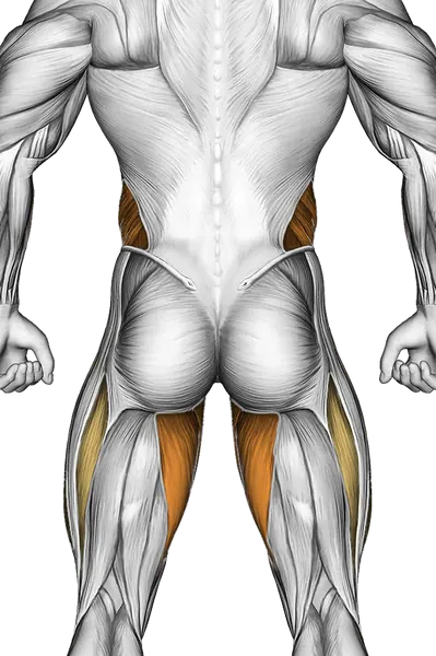 Hanging Straight Twisting Leg Hip Raise — Muscles worked: Core, Obliques, Quadriceps, Adductors (Back)