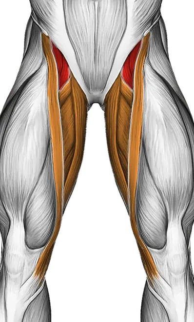 Lever Side Hip Abduction — Muscles worked: Core, Quadriceps, Adductors (Front)