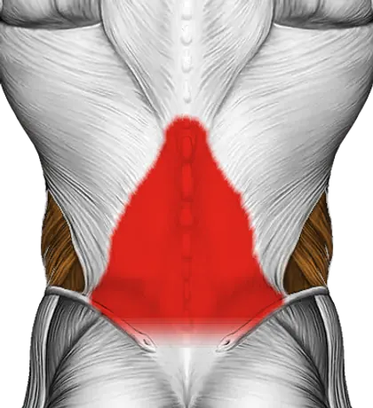 Standing Back Rotation Stretch — Muscles worked: Lower back, Obliques (Back)
