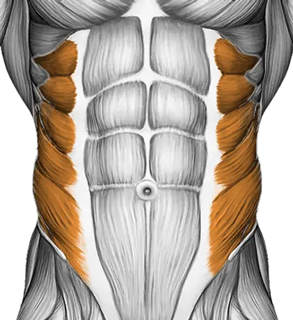 Standing Back Rotation Stretch — Muscles worked: Lower back, Obliques (Front)