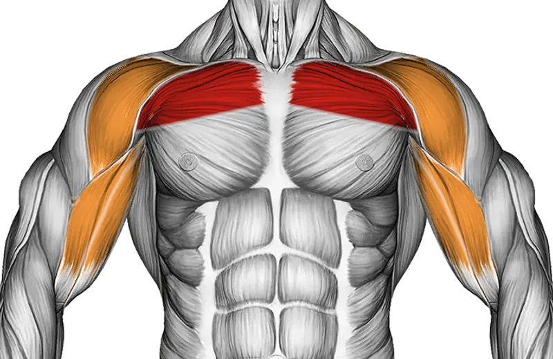 Cable Upper Chest Crossovers — Muscles worked: Chest, Front delts, Biceps