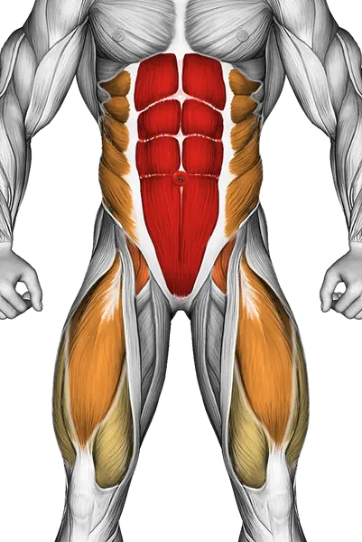 Lying Scissors Cross — Muscles worked: Core, Obliques, Quadriceps (Front)