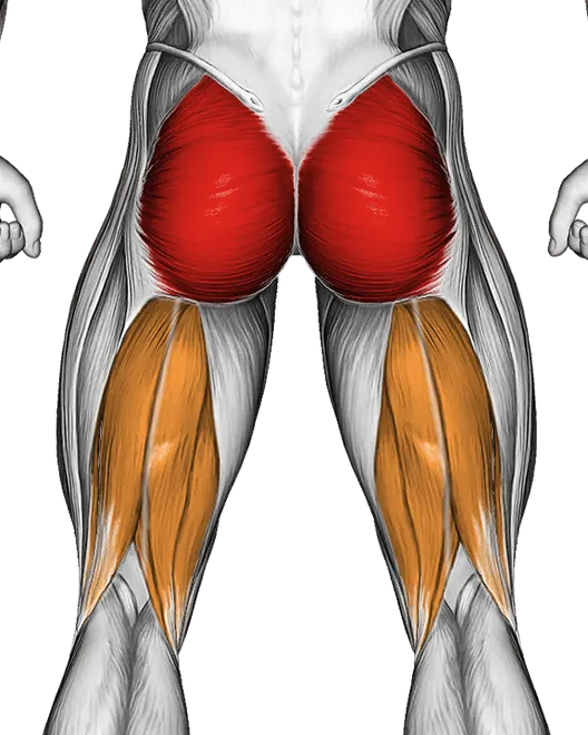 Flutter Kicks (Version 2) — Muscles worked: Glutes, Hamstrings