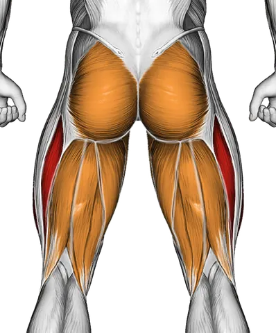 Lever Horizontal One Leg Press — Muscles worked: Quadriceps, Glutes, Abductors, Adductors, Hamstrings (Back)