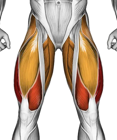 Lever Horizontal One Leg Press — Muscles worked: Quadriceps, Glutes, Abductors, Adductors, Hamstrings (Front)