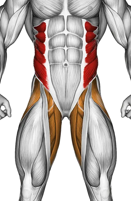Kettlebell Double Windmill — Muscles worked: Obliques, Core, Abductors, Adductors (Front)