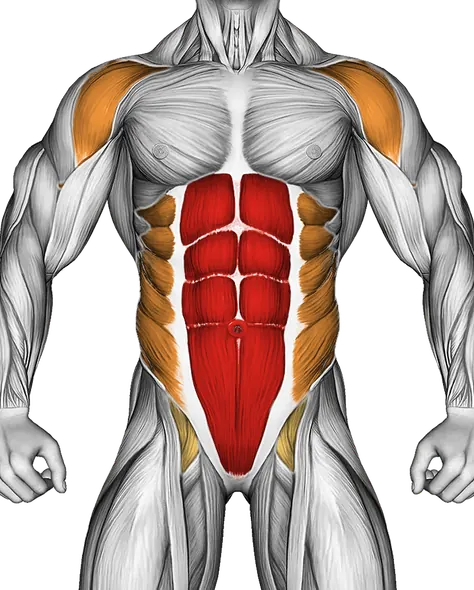 Side Plank Pull — Muscles worked: Core, Front delts, Obliques, Glutes (Front)