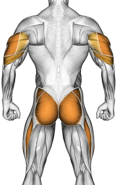 Spider Crawl Push-Up — Muscles worked: Core, Chest, Front delts, Triceps, Glutes, Abductors, Quadriceps (Back)