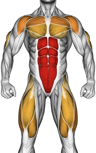 Spider Crawl Push-Up — Muscles worked: Core, Chest, Front delts, Triceps, Glutes, Abductors, Quadriceps (Front)