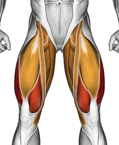 Curtsey Squat — Muscles worked: Quadriceps, Core, Glutes, Abductors, Adductors, Hamstrings (Front)