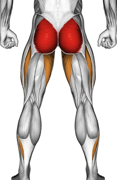 Lever Standing Rear Kick — Muscles worked: Glutes, Quadriceps, Adductors, Calves (Back)