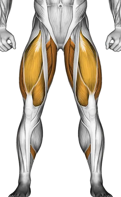 Lever Standing Rear Kick — Muscles worked: Glutes, Quadriceps, Adductors, Calves (Front)