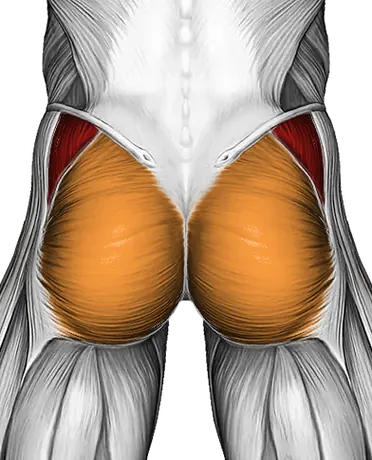 Lever Seated Hip Abduction (Version 2) — Muscles worked: Abductors, Glutes (Back)