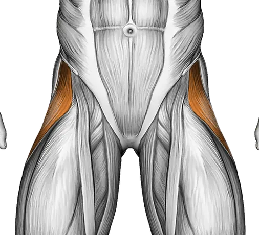 Lever Seated Hip Abduction (Version 2) — Muscles worked: Abductors, Glutes (Front)