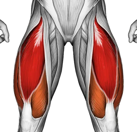 Weighted Sissy Squat — Muscles worked: Quadriceps (Front)