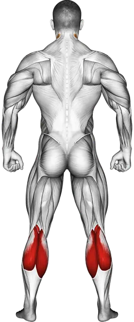 Seated Calf Stretch — Muscles worked: Calves, Tibialis, Neck (Back)