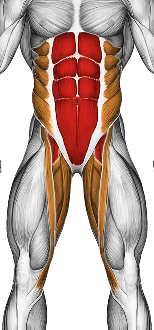 Otis Up — Muscles worked: Core, Obliques, Quadriceps, Adductors (Front)