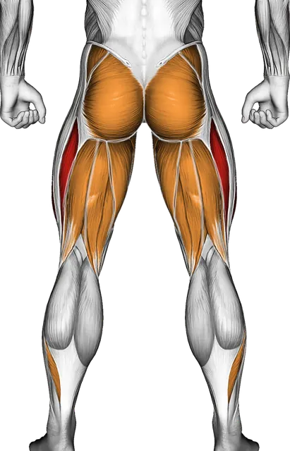 Hip Swirls — Muscles worked: Quadriceps, Glutes, Abductors, Adductors, Hamstrings, Calves (Back)