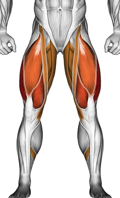 Hip Swirls — Muscles worked: Quadriceps, Glutes, Abductors, Adductors, Hamstrings, Calves (Front)