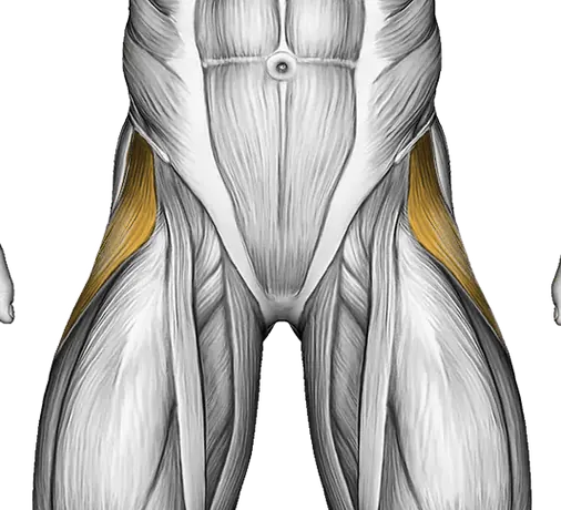 Cable Hip Abduction (Version 2) — Muscles worked: Abductors, Glutes (Front)