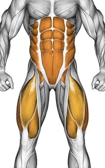 Single Straight Leg Stretch — Muscles worked: Hamstrings, Core, Obliques, Glutes, Quadriceps (Front)