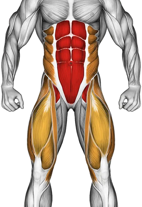 Negative Dragon Flag — Muscles worked: Core, Obliques, Abductors, Quadriceps