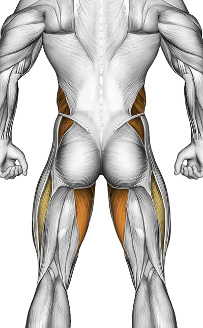 Hanging Oblique Knee Raise — Muscles worked: Core, Obliques, Abductors, Quadriceps, Adductors (Back)