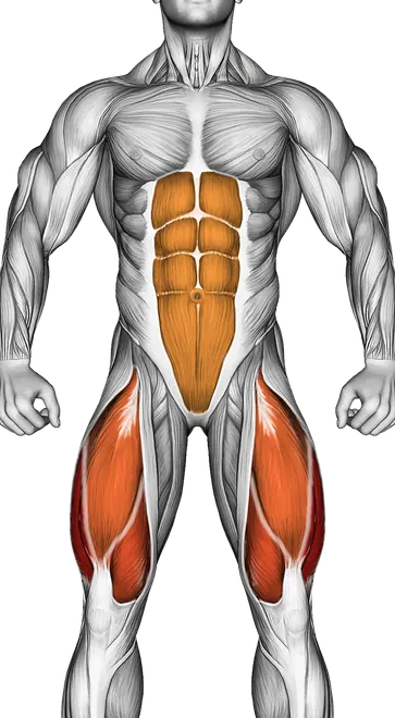 Table Top Bridge — Muscles worked: Quadriceps, Rear delts, Lats, Upper back, Core, Glutes, Hamstrings (Front)
