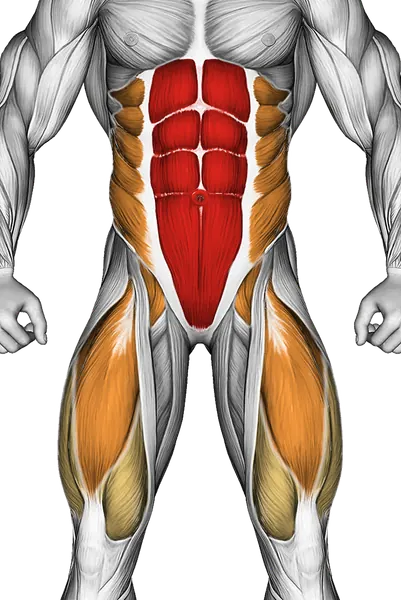 Flexion Leg Sit-Up (Straight Arm) — Muscles worked: Core, Obliques, Quadriceps (Front)