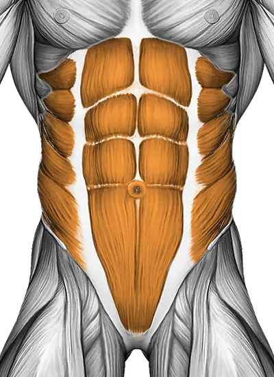 Spinal Stretch (on Stability Ball) — Muscles worked: Lower back, Core, Obliques (Front)