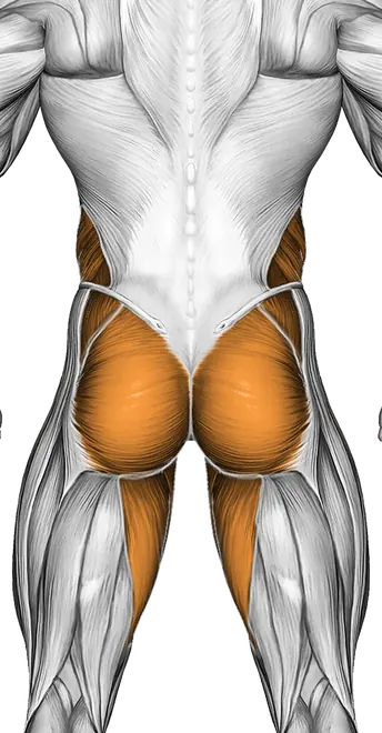 Plank Jack — Muscles worked: Core, Obliques, Glutes, Abductors, Adductors (Back)
