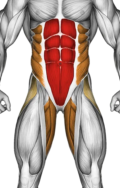Plank Jack — Muscles worked: Core, Obliques, Glutes, Abductors, Adductors (Front)