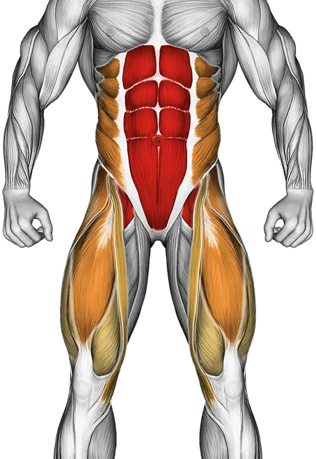 Straight Leg Sit-Up — Muscles worked: Core, Obliques, Abductors, Quadriceps