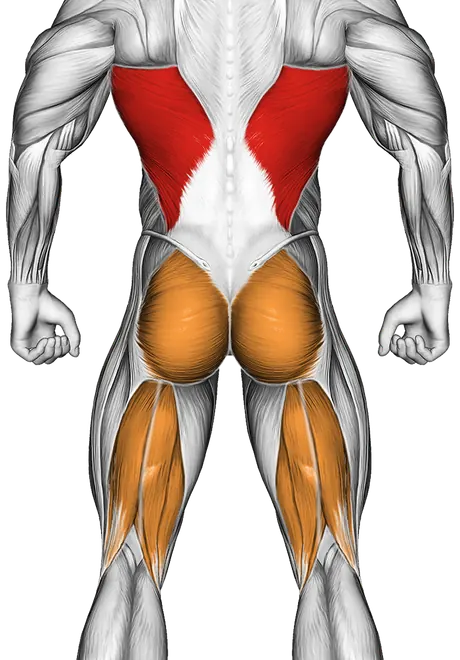 Slopes Towards Stretch — Muscles worked: Lats, Glutes, Hamstrings
