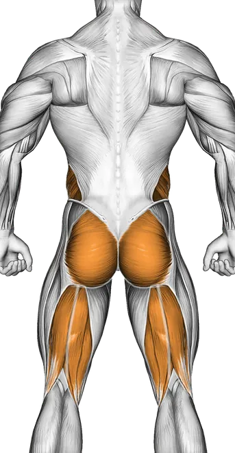 Front Plank with Leg Lift — Muscles worked: Core, Chest, Serratus, Front delts, Obliques, Glutes, Abductors, Hamstrings (Back)