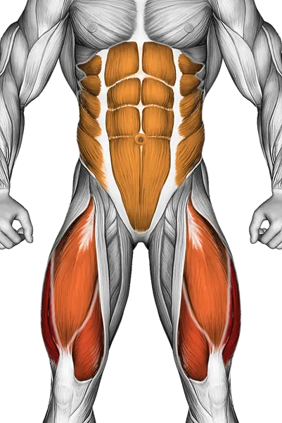 Single Leg Stretch (Bent Knee) — Muscles worked: Quadriceps, Core, Obliques, Glutes (Front)
