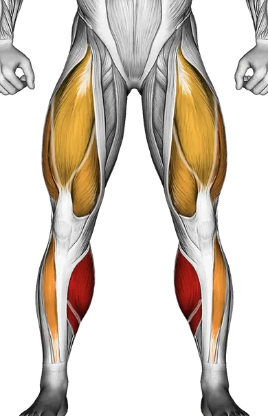 Circles Knee Stretch — Muscles worked: Calves, Quadriceps, Tibialis (Front)