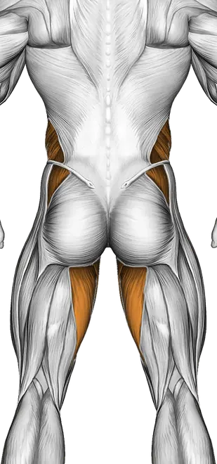 Scissors (Advanced) — Muscles worked: Core, Obliques, Abductors, Quadriceps, Adductors (Back)