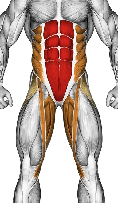 Scissors (Advanced) — Muscles worked: Core, Obliques, Abductors, Quadriceps, Adductors (Front)