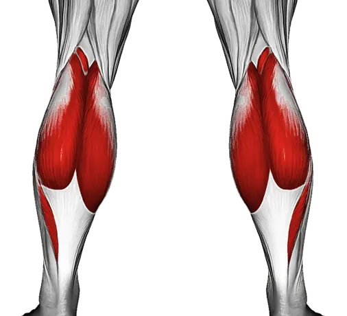 Feet and Ankles Stretch — Muscles worked: Calves, Tibialis (Back)