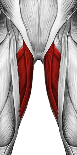 Cable Hip Adduction — Muscles worked: Adductors, Glutes (Front)