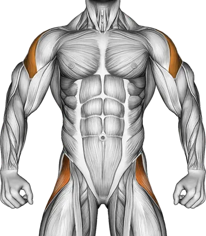 Band Lying Hip Internal Rotation — Muscles worked: Abductors, Side delts, Upper back (Front)