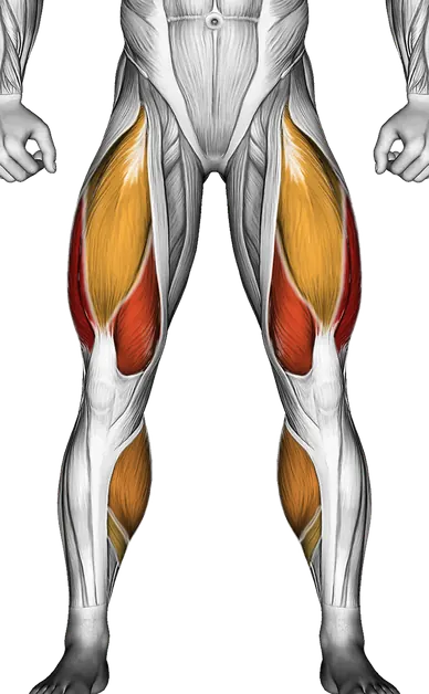 High Knee Jump Rope — Muscles worked: Quadriceps, Glutes, Hamstrings, Calves (Front)